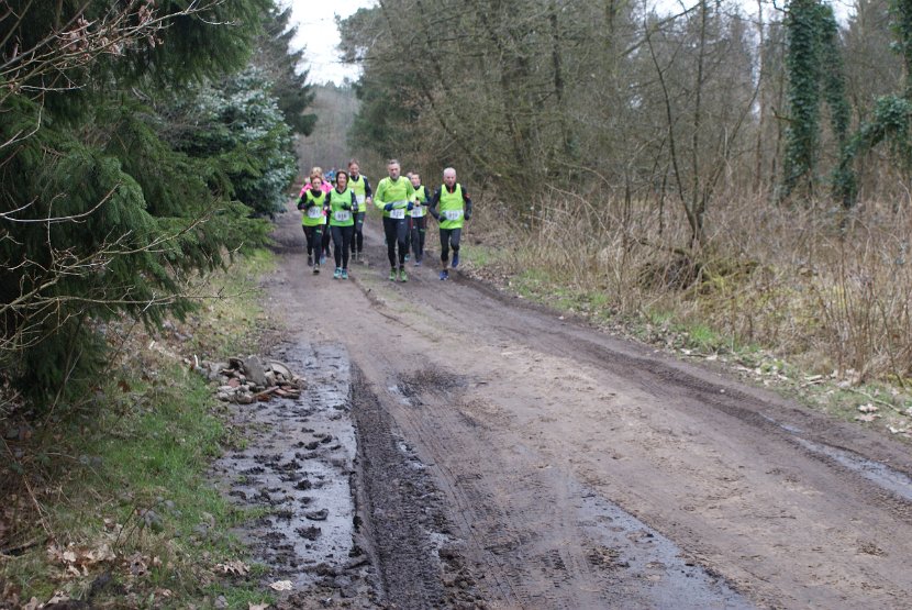Bosloop Brecht - 23